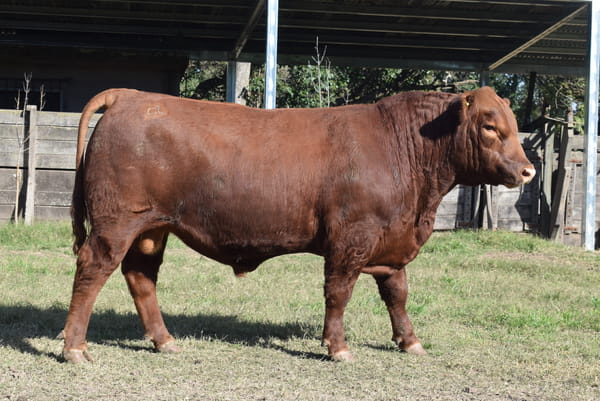 Lote CABAÑA “COEMBOTÁ” de Calderón RP 134