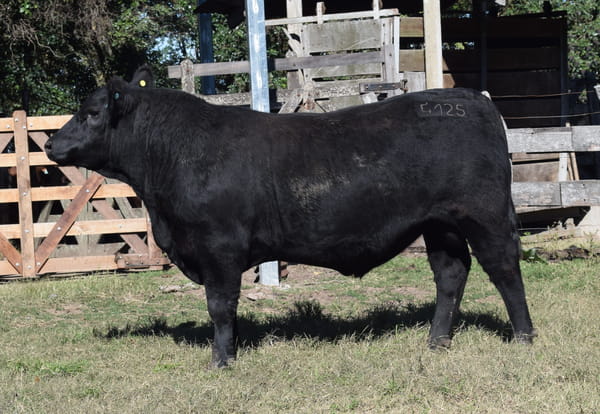 Lote CABAÑA “COEMBOTÁ” de Calderón RP 125