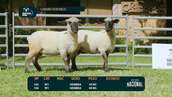 Lote LOTE 2 - CABAÑA DON BECO - RP 0103 / 0104