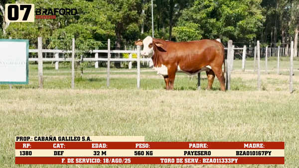 Lote LOTE 7