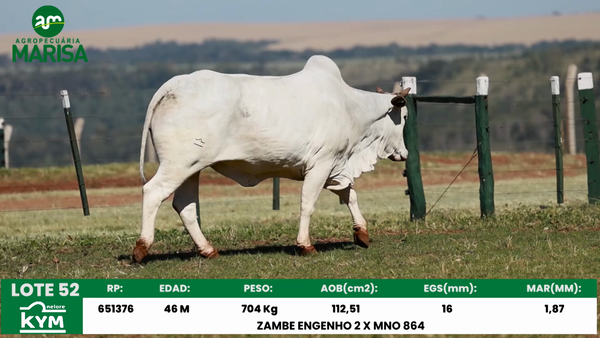 Lote Lote 52