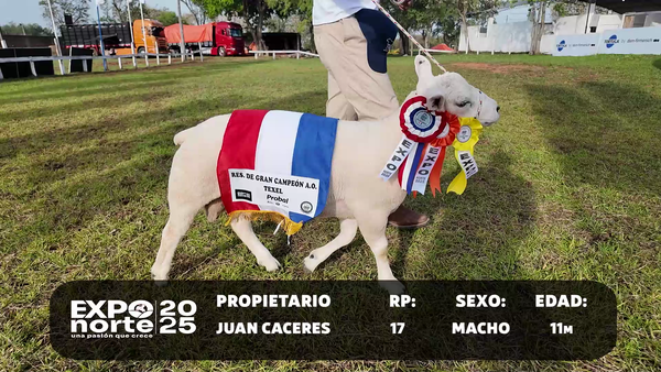 Lote RP 17