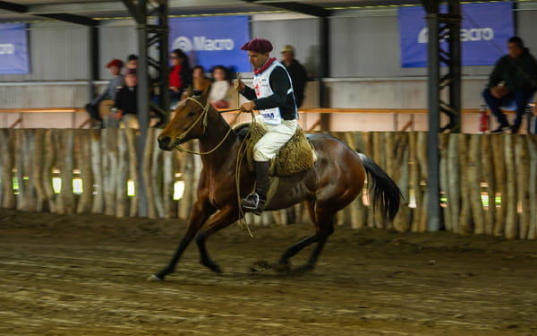 Lote ATALAYA COSCOJA