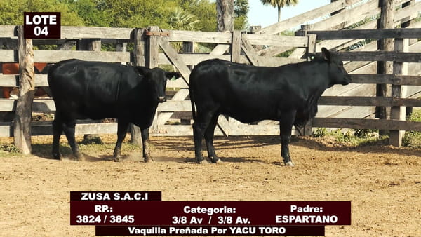 Lote Cabañas de Tradición - Lote 04