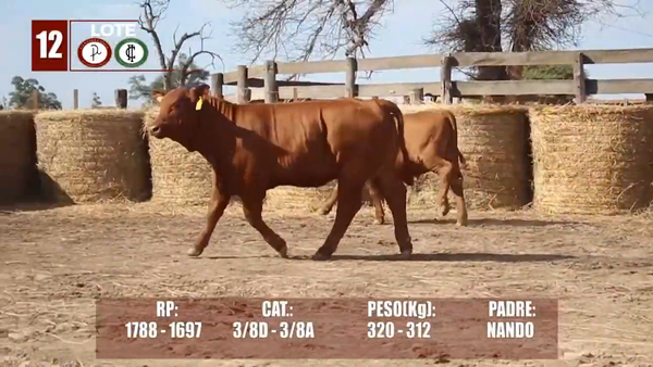 Lote Lote 12 Reserva de Cabaña
