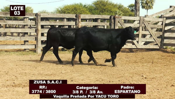 Lote Cabañas de Tradición - Lote 03