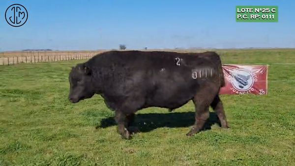 Lote Establecimiento Juancito - De Juan Carlos Mayoral TOROS PUROS CONTROLADOS