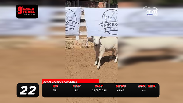 Lote LOTE 22