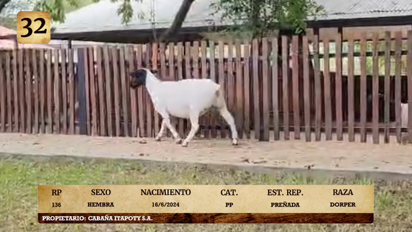 Lote LOTE 32