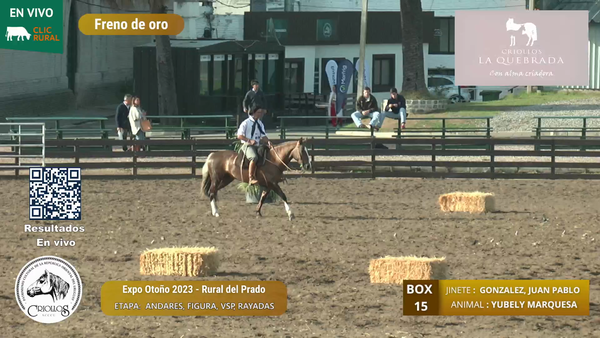 Lote YUBELY MARQUESA - MUSSELLI BENEDETTO, CESAR ANDRES