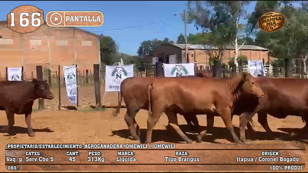 Lote LOTE 166 - PANTALLA