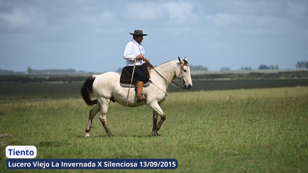 Lote Tiento