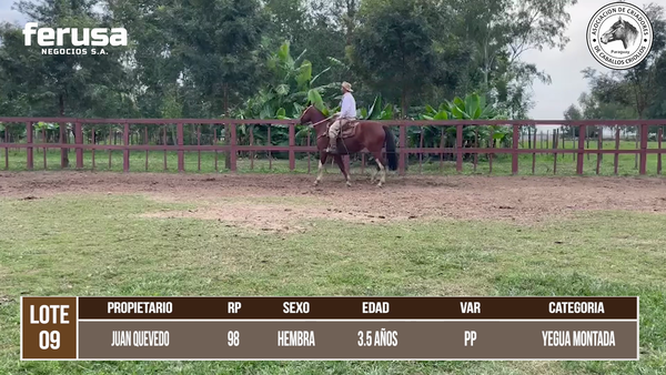 Lote LOTE 9 DE CAMPO