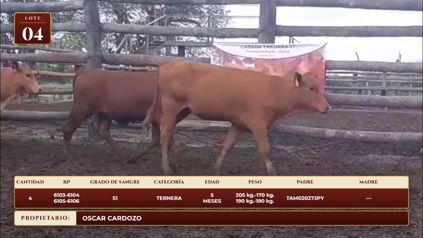 Lote LOTE 4