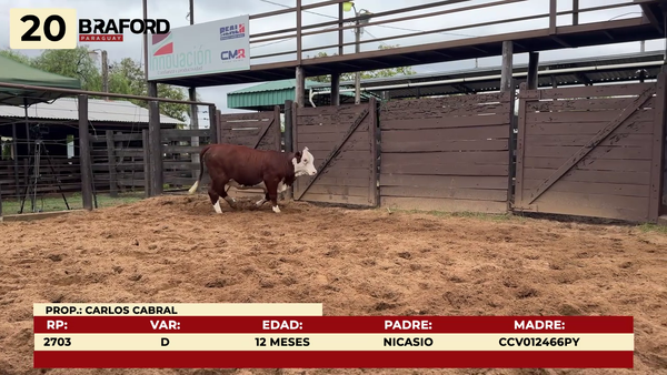 Lote LOTE 20