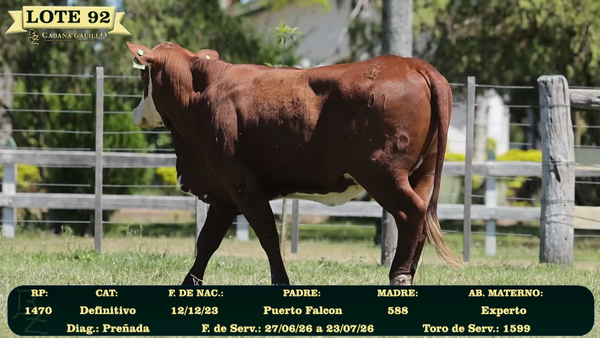 Lote LOTE 92