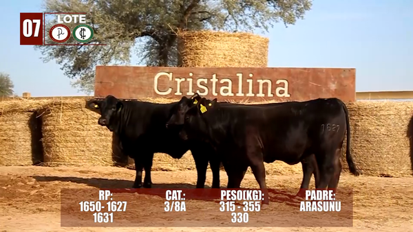 Lote Lote 7 Reserva de Cabaña