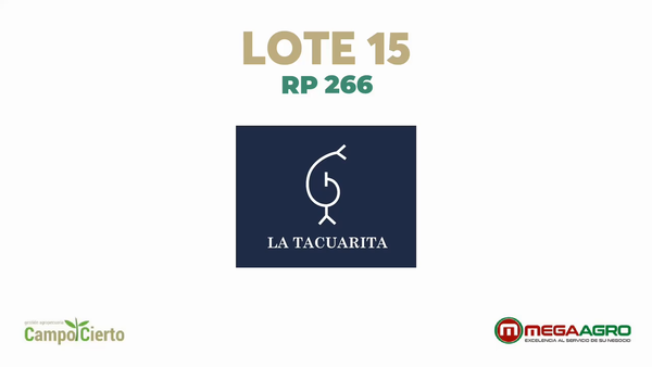 Lote LA TACUARITA