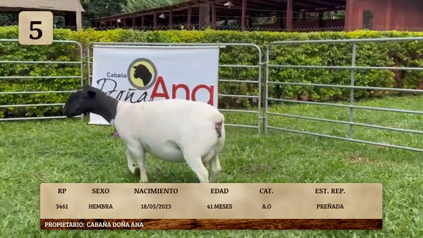 Lote LOTE 5