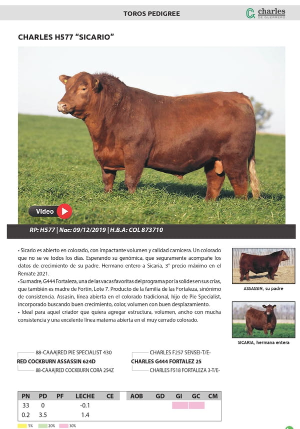 Lote TORO PEDIGREE