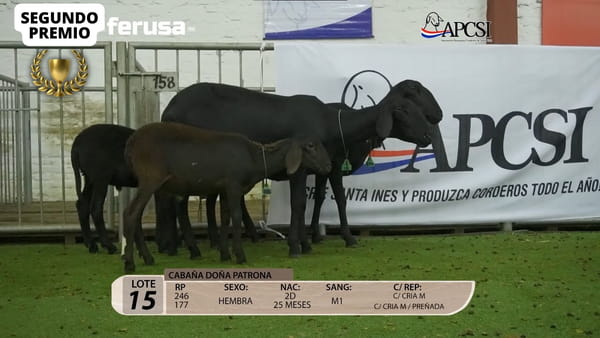 Lote Nacional Santa Inés Campo - Lote 15