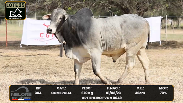 Lote LOTE 25