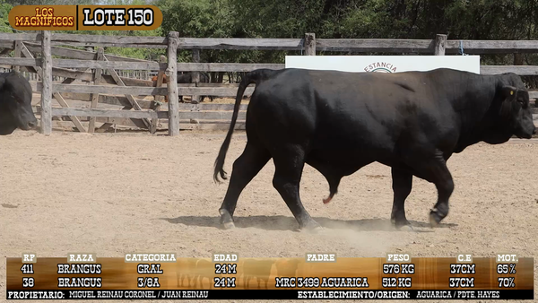 Lote LOTE 150 - PANTALLA