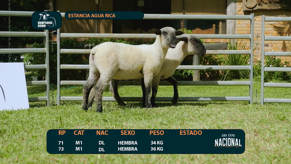 Lote LOTE 5 - ESTANCIA AGUA RICA  RP 71 / 73
