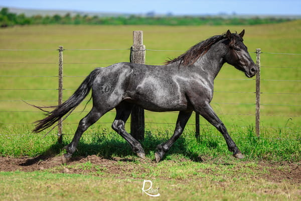 Lote NO SALE A VENTAS