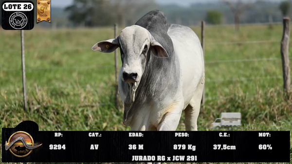 Lote LOTE 26