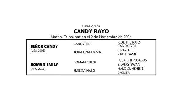 Lote CANDY RAYO