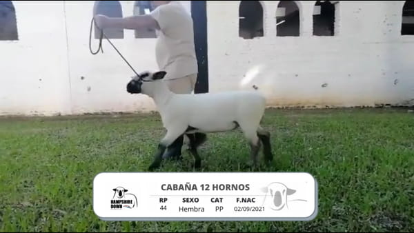 Lote LOTE 1C BOZAL - RP 44