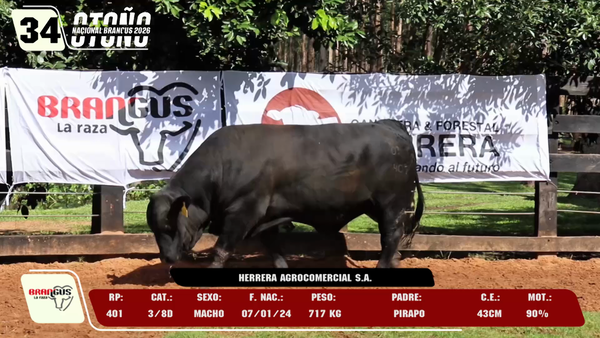 Lote LOTE 34 -DE CAMPO