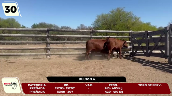 Lote LOTE 30- EN VIVO