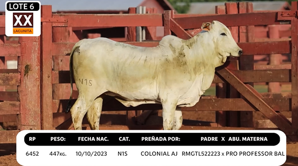 Lote LOTE 6