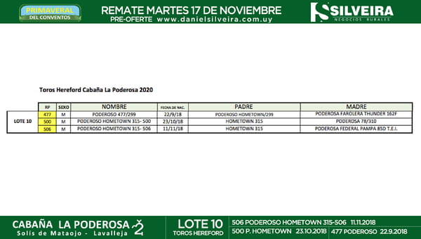 Lote Cabaña La Poderosa