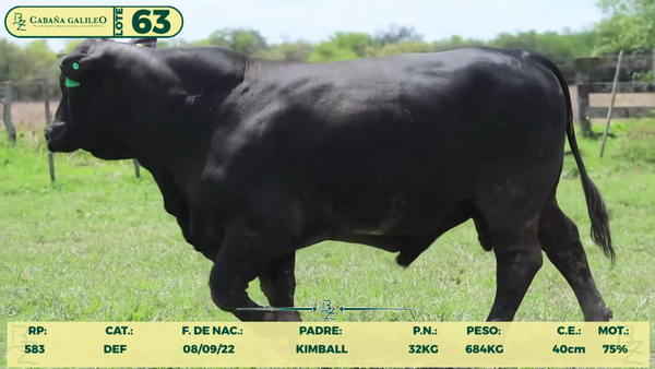 Lote LOTE 63