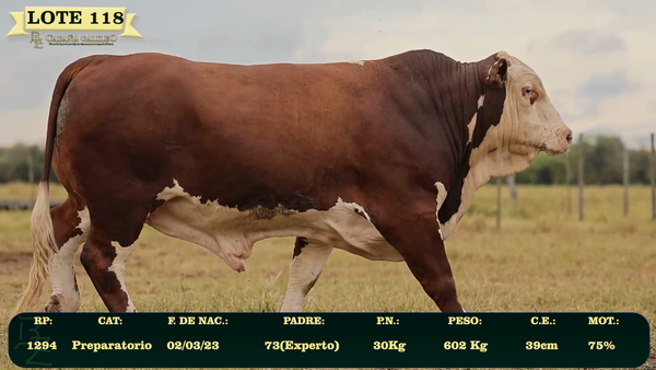 Lote LOTE 118