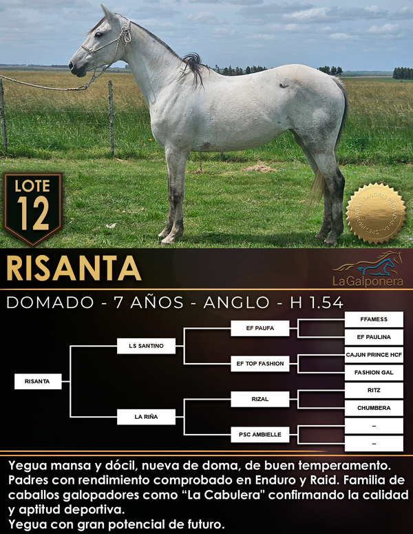 Lote RISANTA