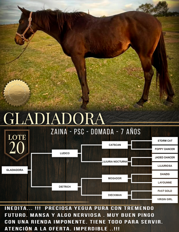 Lote GLADIADORA