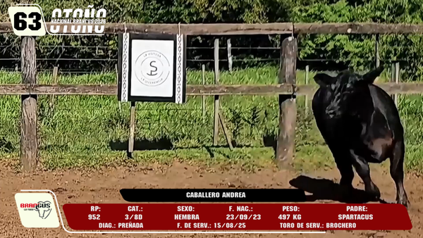 Lote LOTE 63 -DE CAMPO
