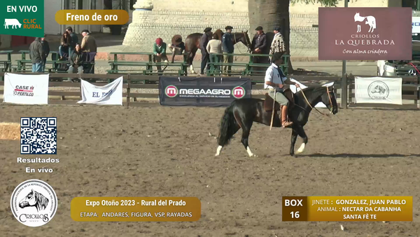 Lote NECTAR DA CABANHA SANTA FÈ TE - O´BRIEN FERNANDEZ, NICOLAS