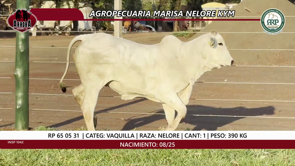 Lote VAQUILLA