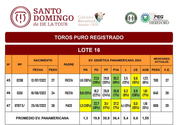 Lote TOROS PR (LOTES) - ( Incluye S/ )
