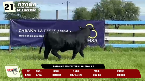 Lote LOTE 21 -DE JUNIOR