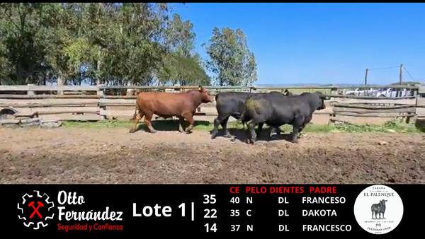 Lote LOTE 1 EL PALENQUE