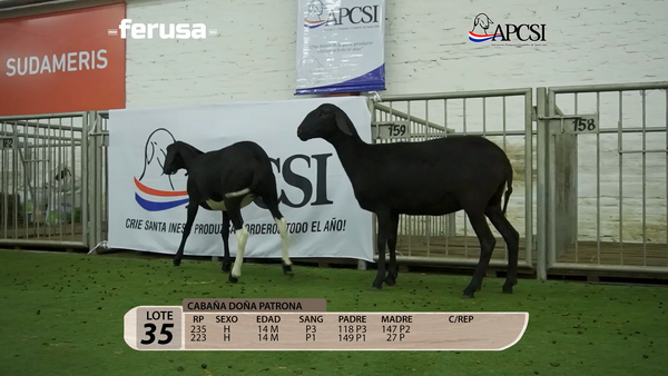 Lote Nacional Santa Inés Campo - Lote 35