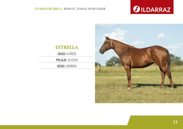 Lote ESTRELLA