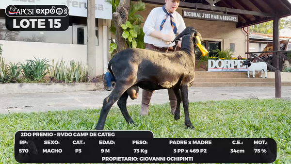 Lote LOTE 15 - BOZAL