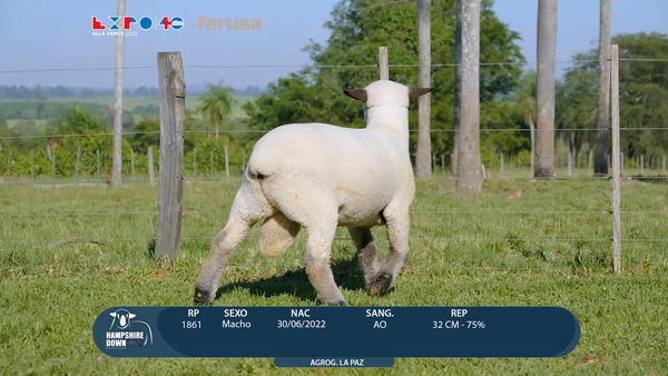 Lote LOTE 63 - BOZAL